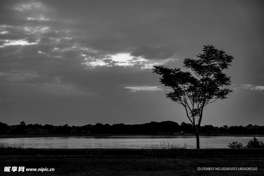 湖畔孤树 暮云低垂