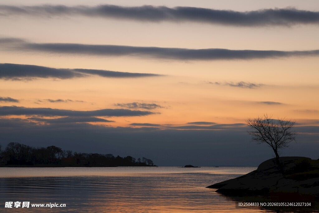 湖畔孤树映黄昏美景