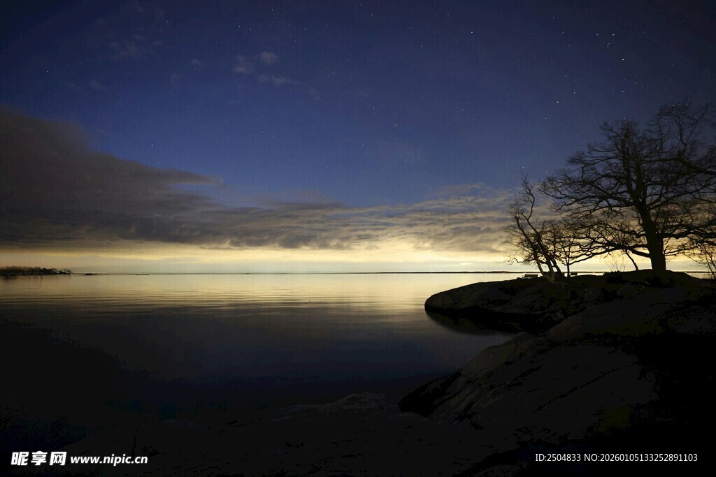 湖畔月夜孤树静谧美景