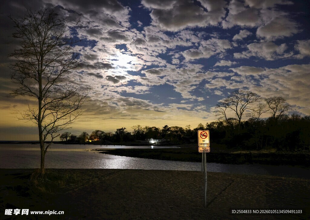 月夜湖畔静谧景象