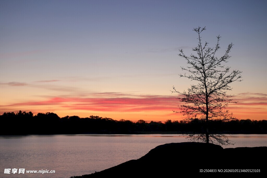 湖畔落日孤树美景