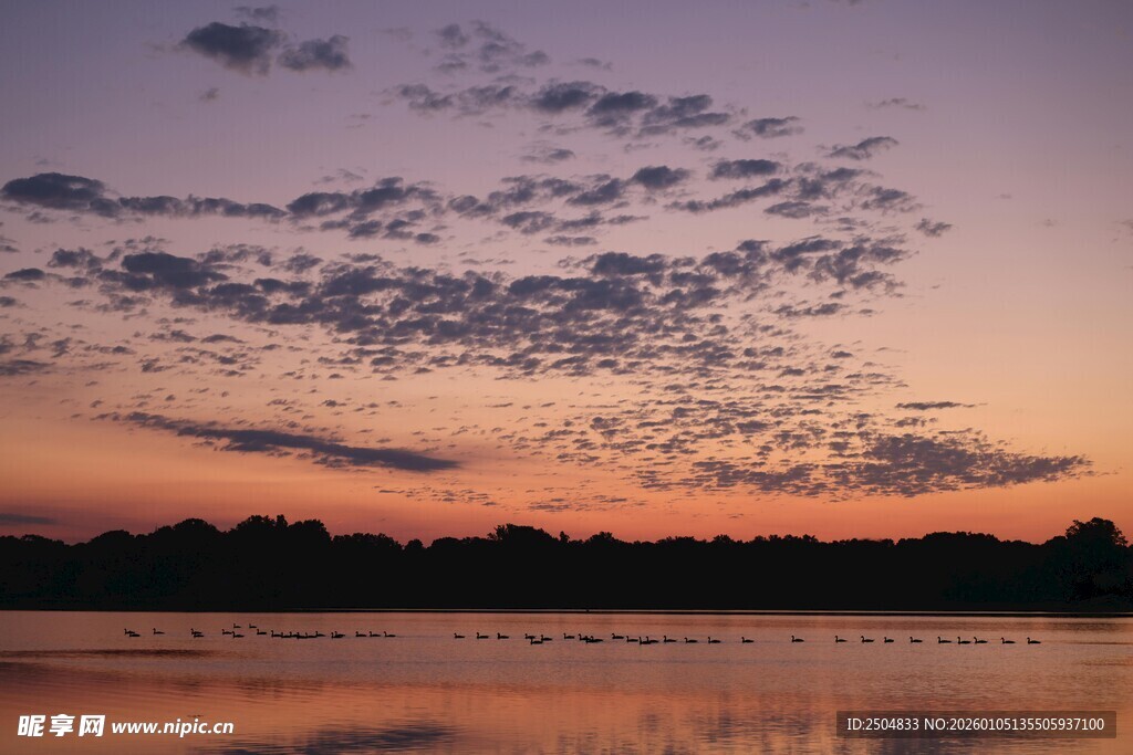 湖畔日落飞鸟美景