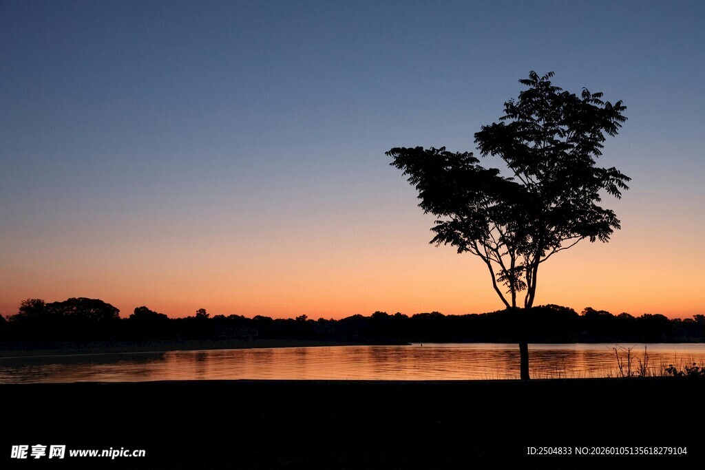 湖畔孤树映晚霞