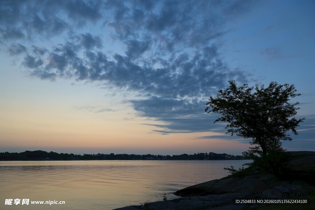 湖畔黄昏孤树美景