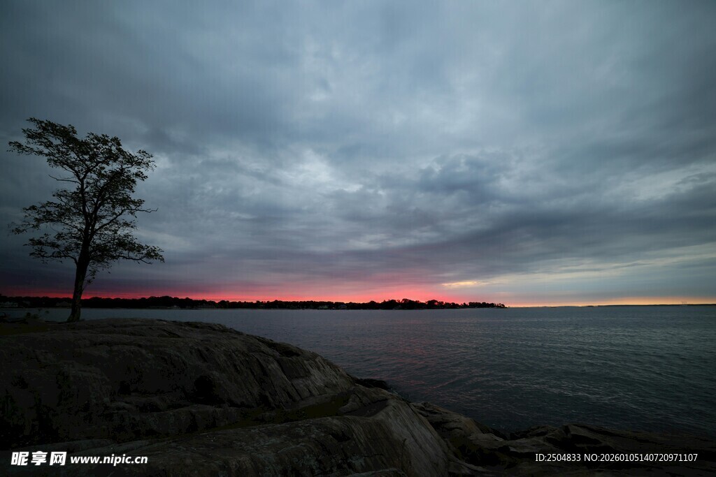 湖畔黄昏孤树 云霞映天