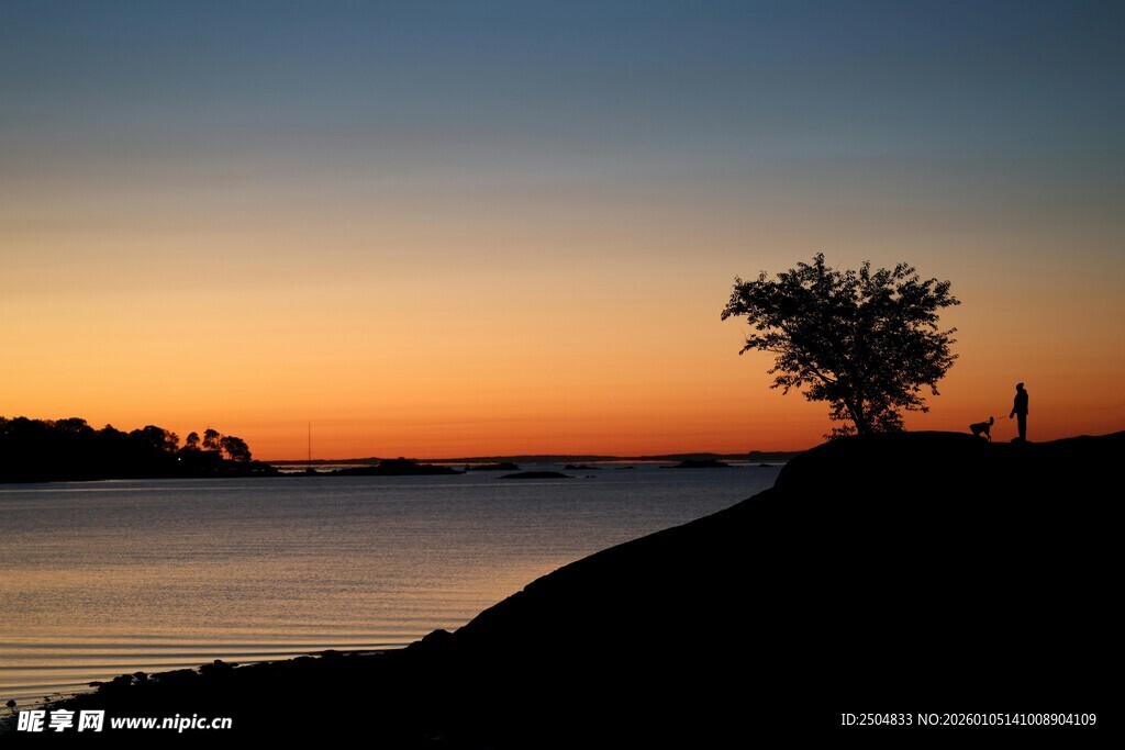湖畔黄昏孤树剪影美景