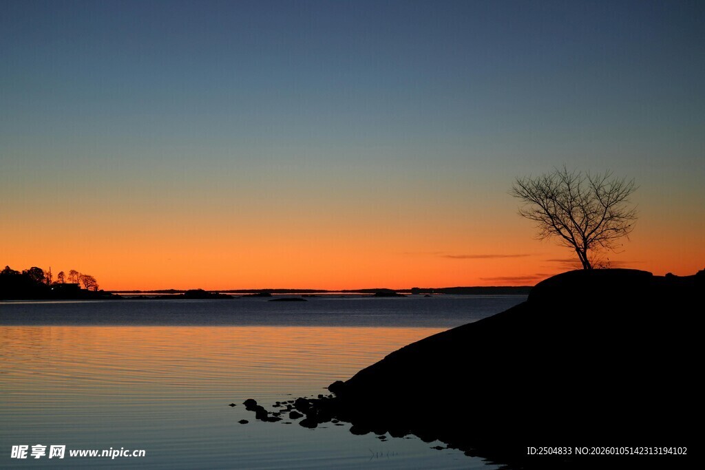 湖畔落日孤树美景