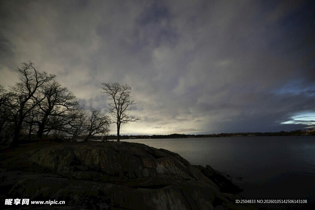 黄昏湖畔枯树 天色 沉