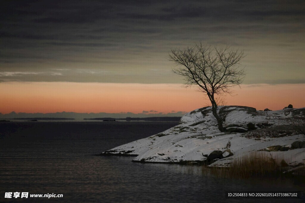 冬日孤树 静谧湖畔景致