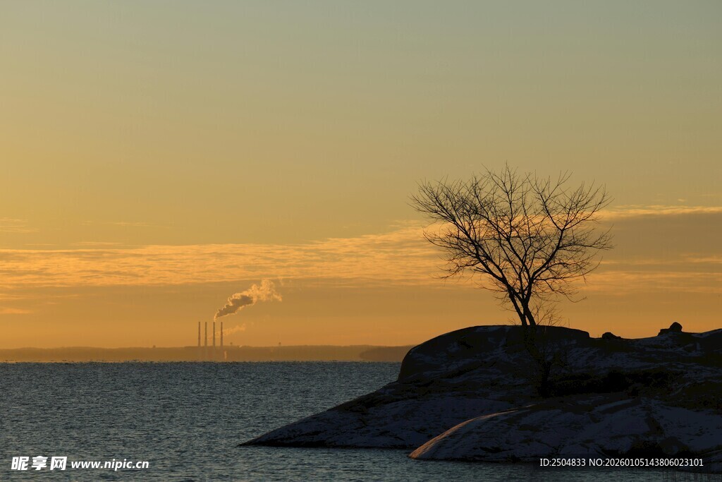 黄昏孤树 静谧海边景致