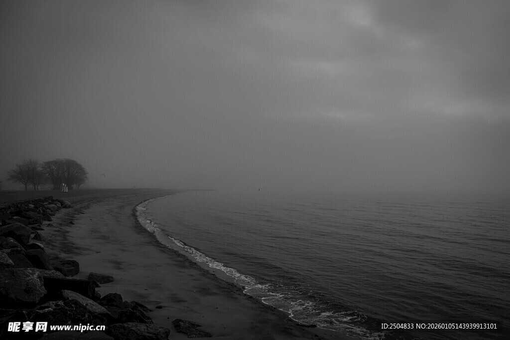雾中海岸线的静谧景象