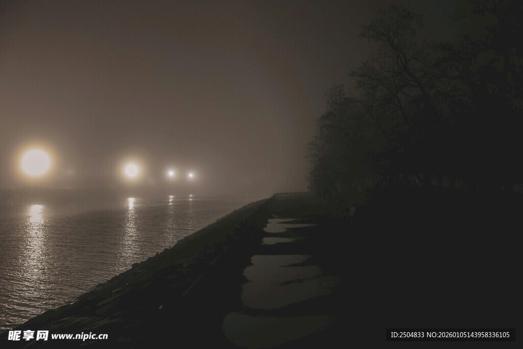 雾中夜路的车灯景象