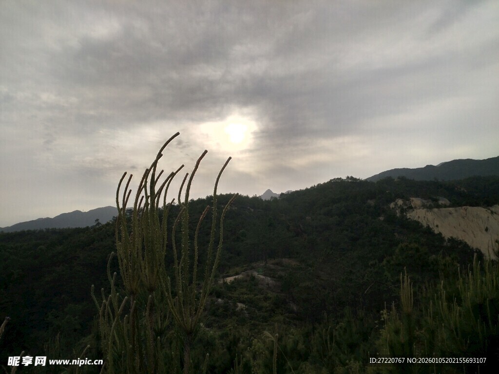 阴云下的山峦与蓬勃草木