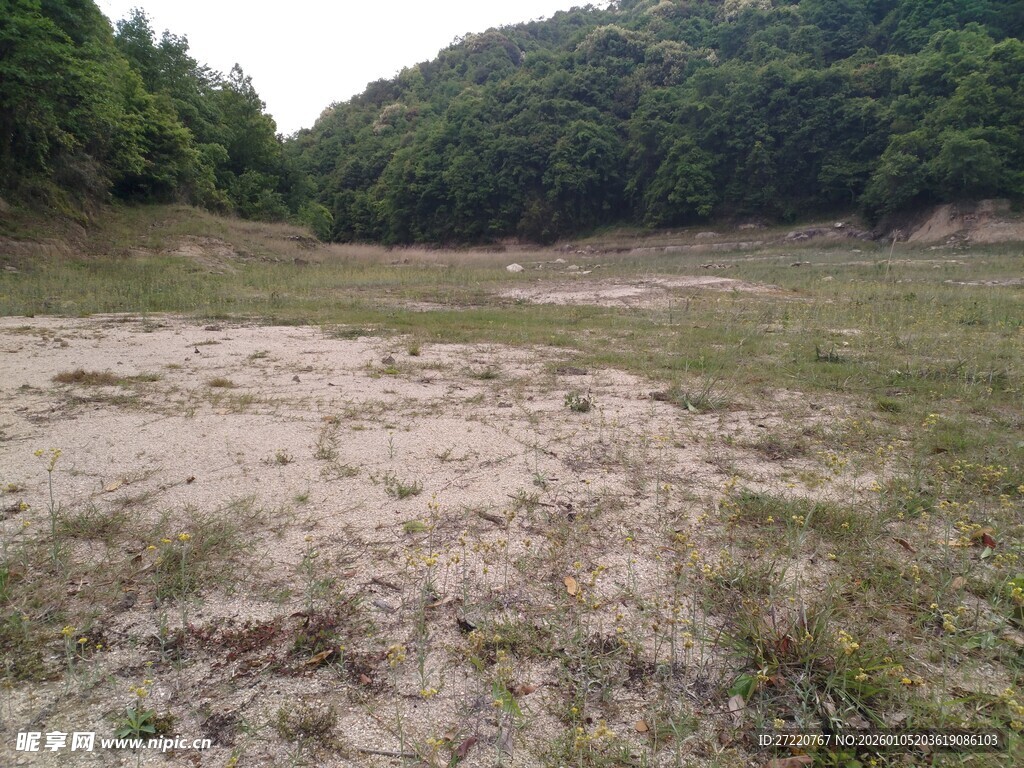 空旷荒野 绿意环绕的土地