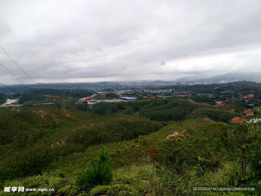 俯瞰绿意盎然的开阔景致