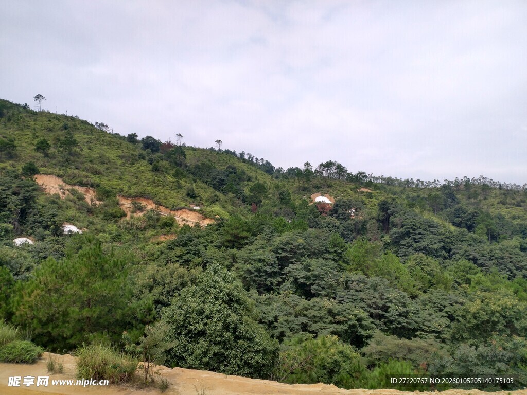绿意盎然的山坡风景