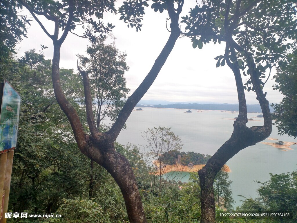 山林间远眺开阔水域景色 万绿湖