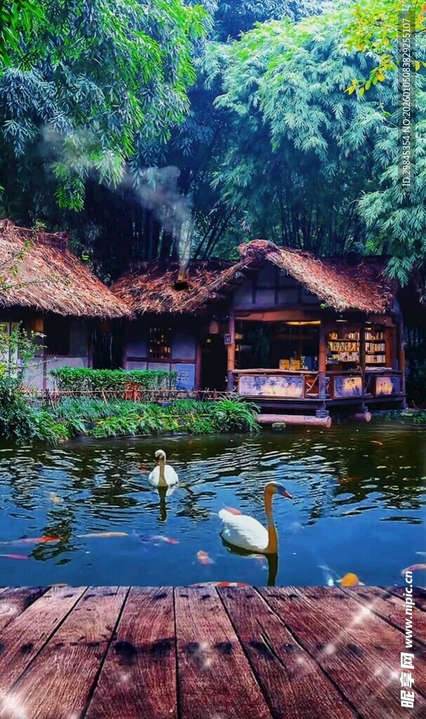 湖畔木屋旁的优雅白鹅