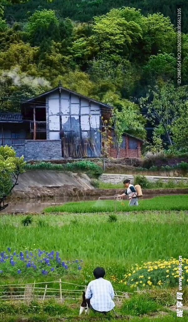 乡村田园劳作温馨场景