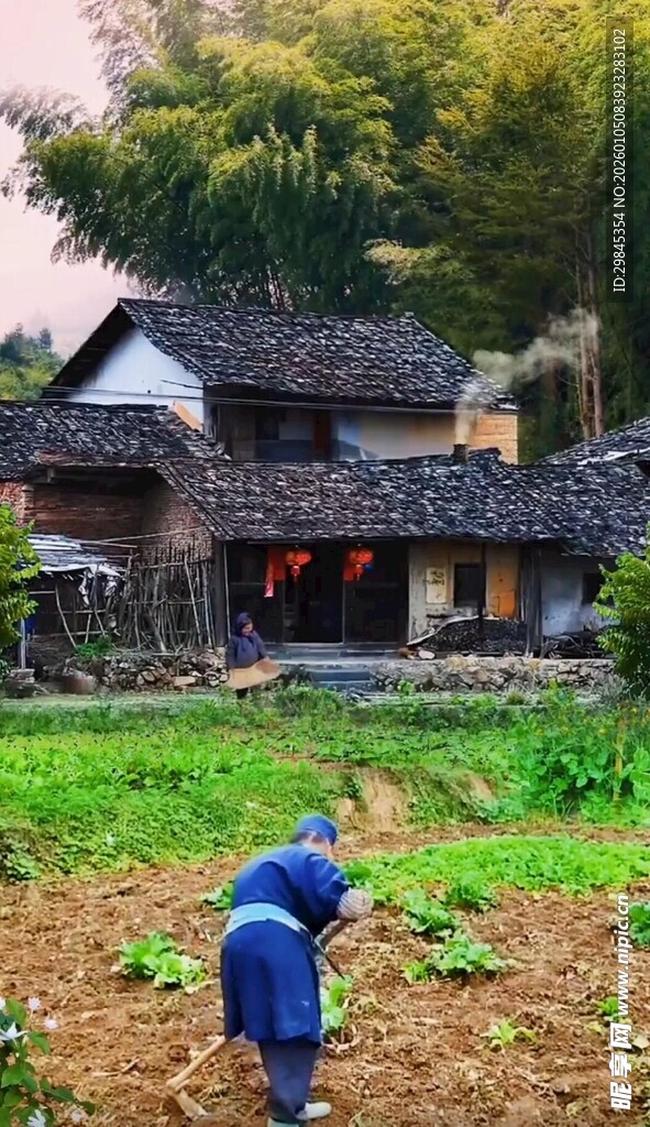 乡村田园劳作景象