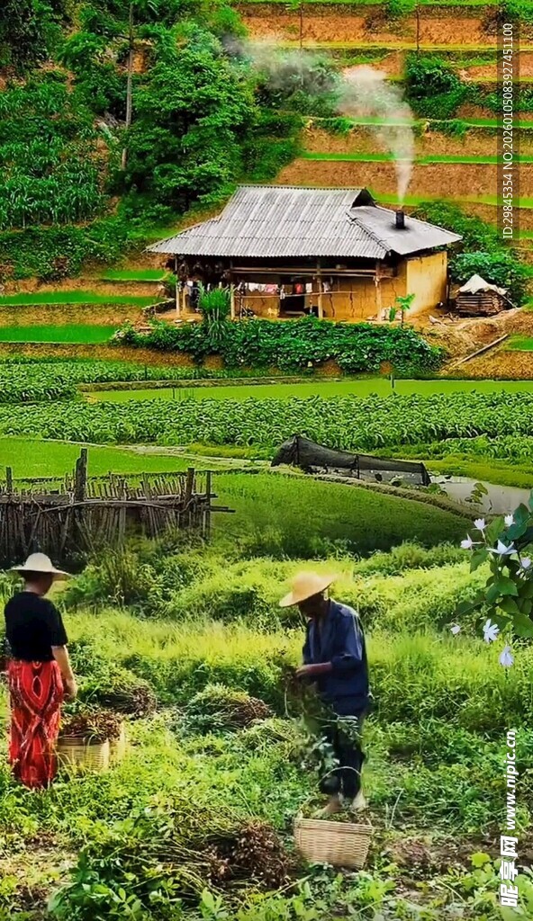 乡村田园劳作场景