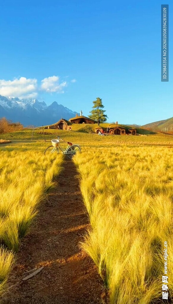 金黄草地中的蜿蜒小径