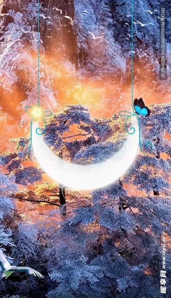 冬日林间梦幻光带景象