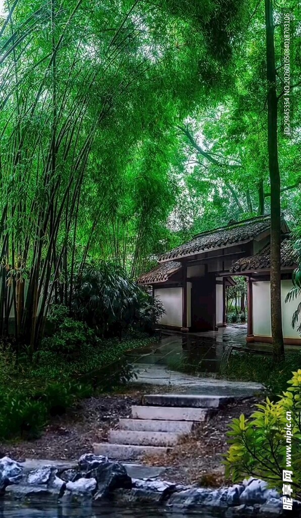 竹林中的静谧小屋