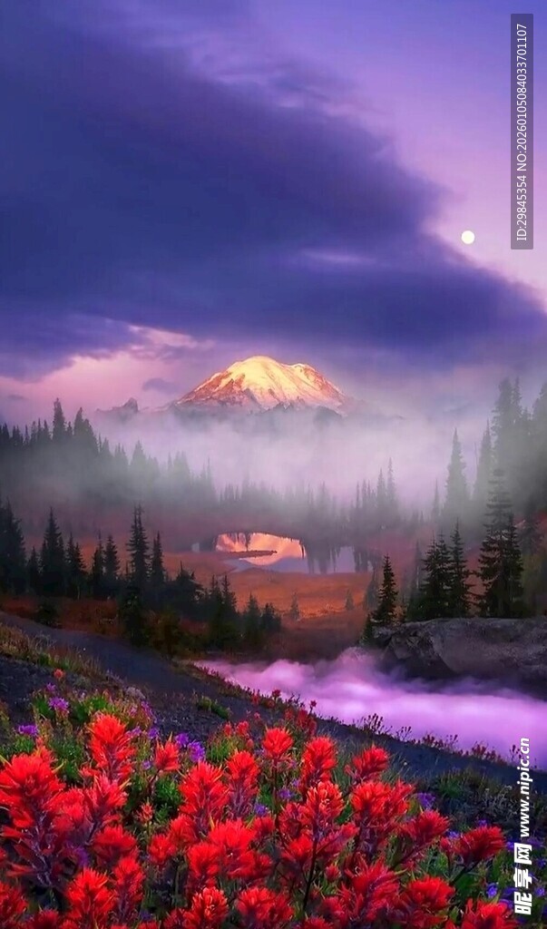梦幻山间花海美景