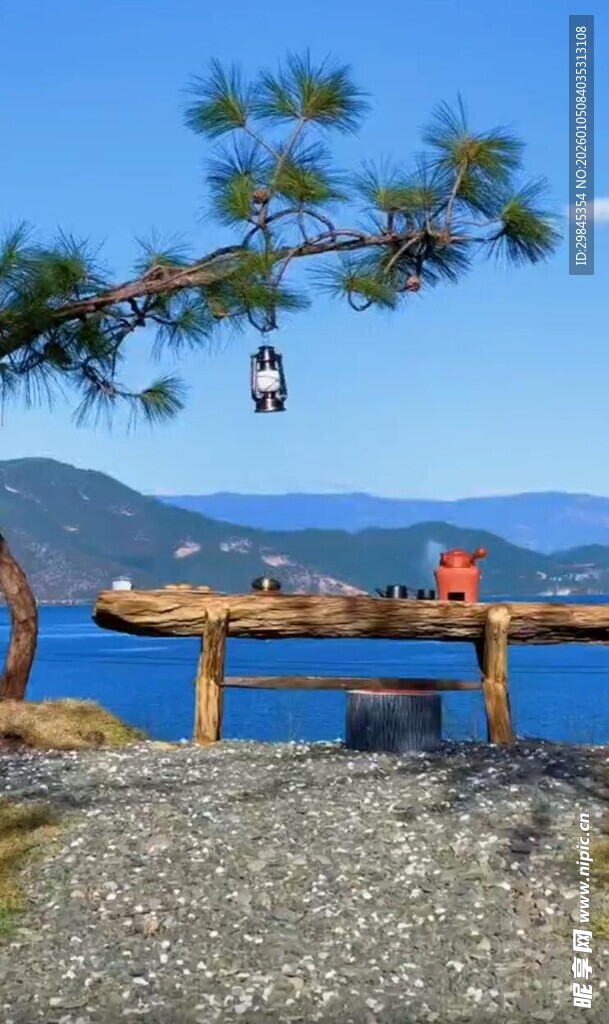 湖畔松树下的静谧小景