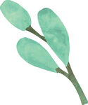 水彩风嫩绿枝叶插画