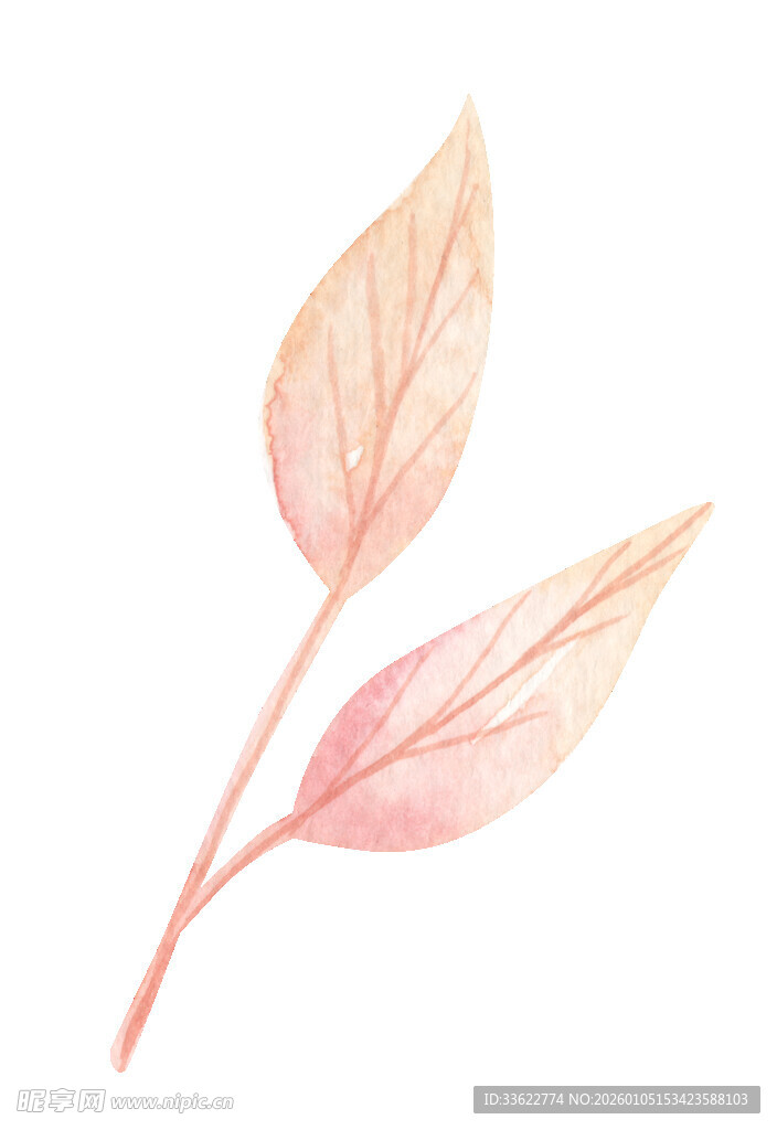 粉色水彩叶片插画