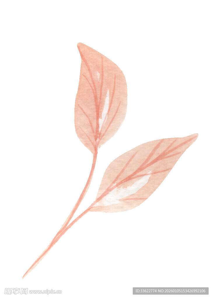 粉色叶片插画