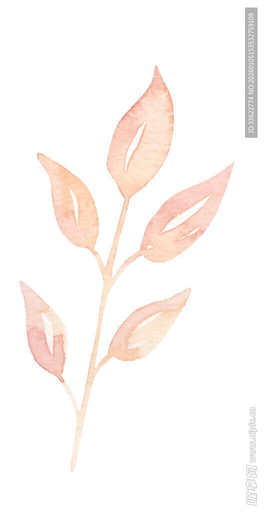 手绘淡粉色植物枝叶