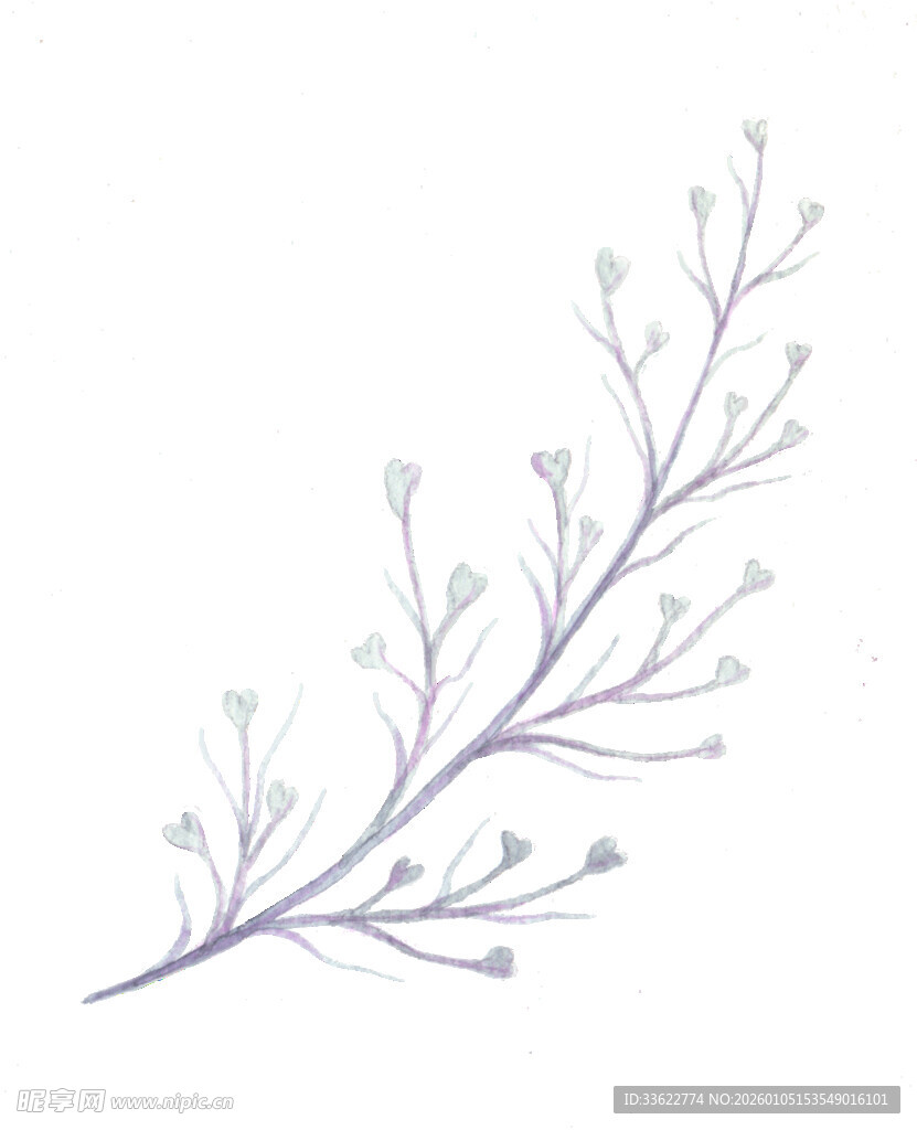 手绘淡紫色植物枝条