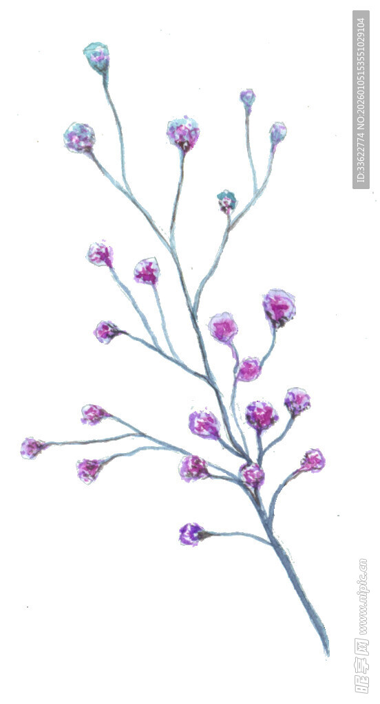 紫色小花枝插画