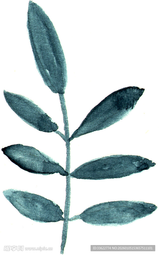 水彩绘绿叶植物