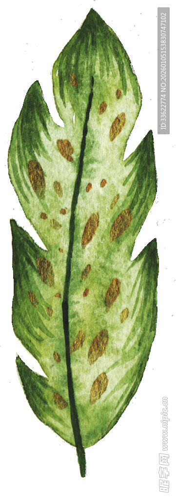 手绘绿色带斑叶片