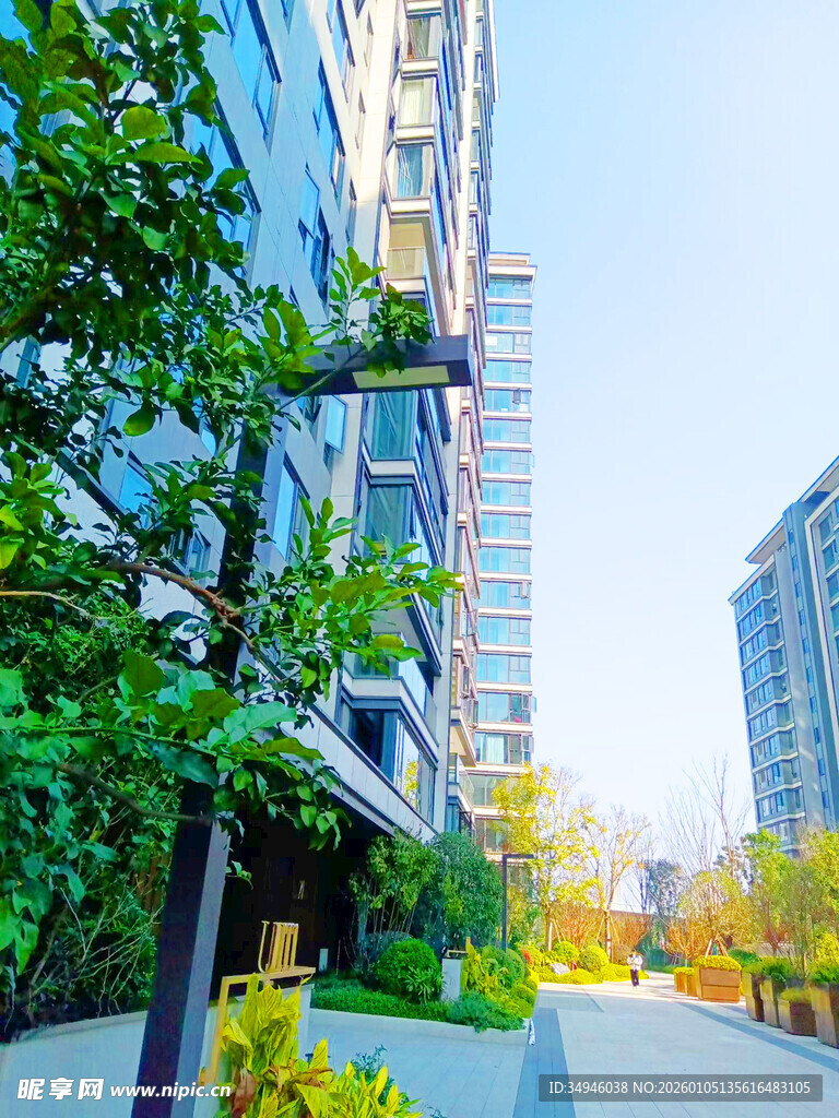 都市林荫下的现代建筑景观