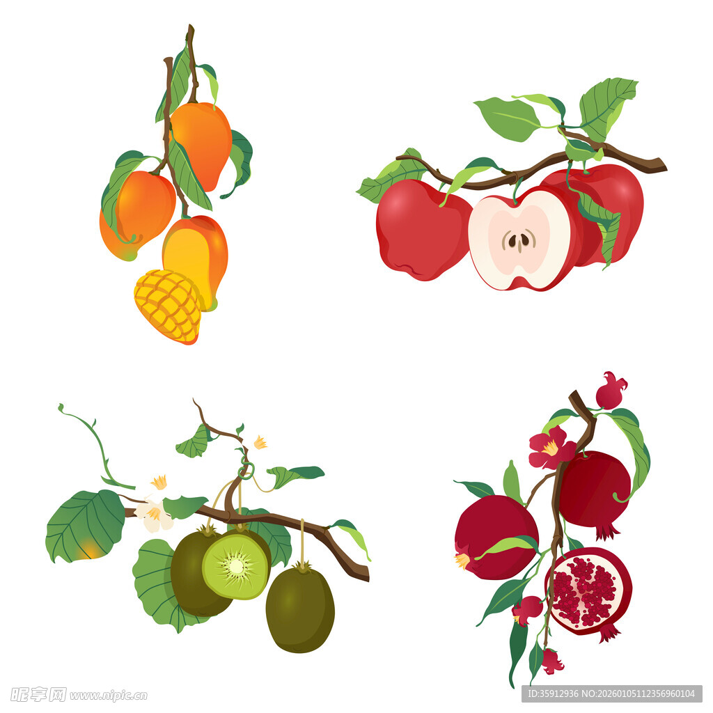 鲜果插画