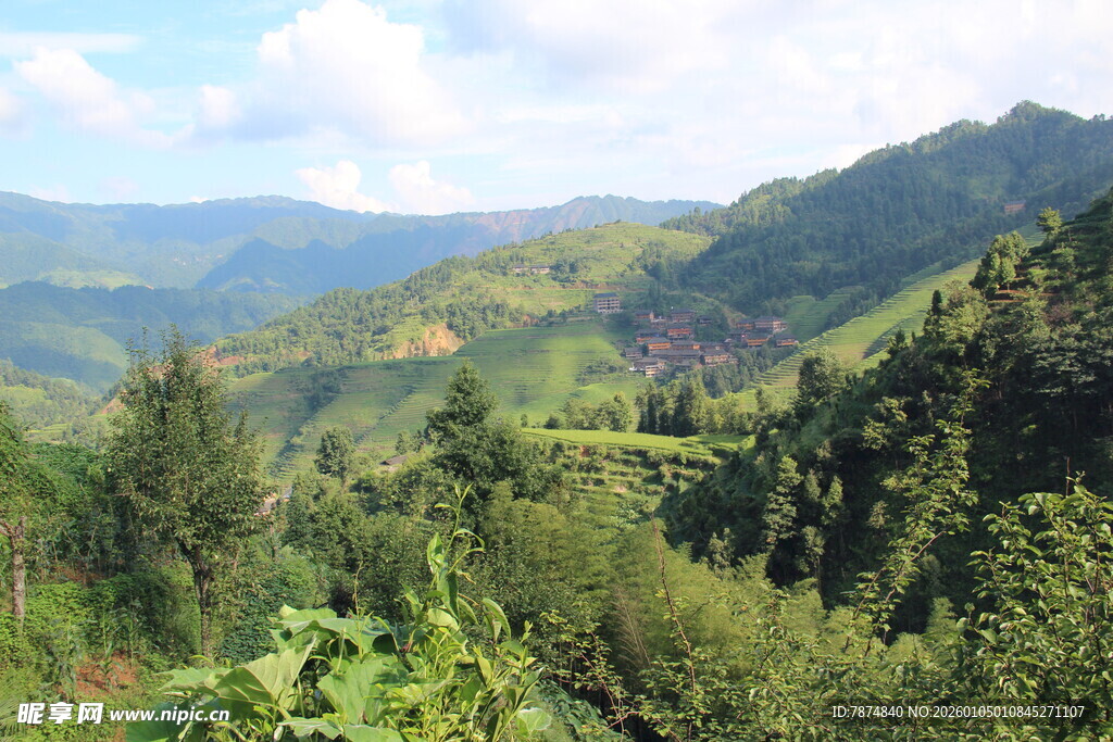 青山绿野间的秀丽自然景观