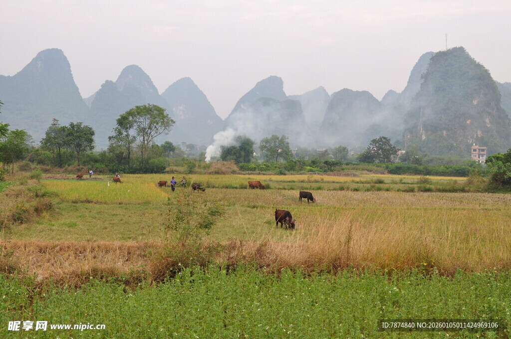 田园牧歌般的山水风光