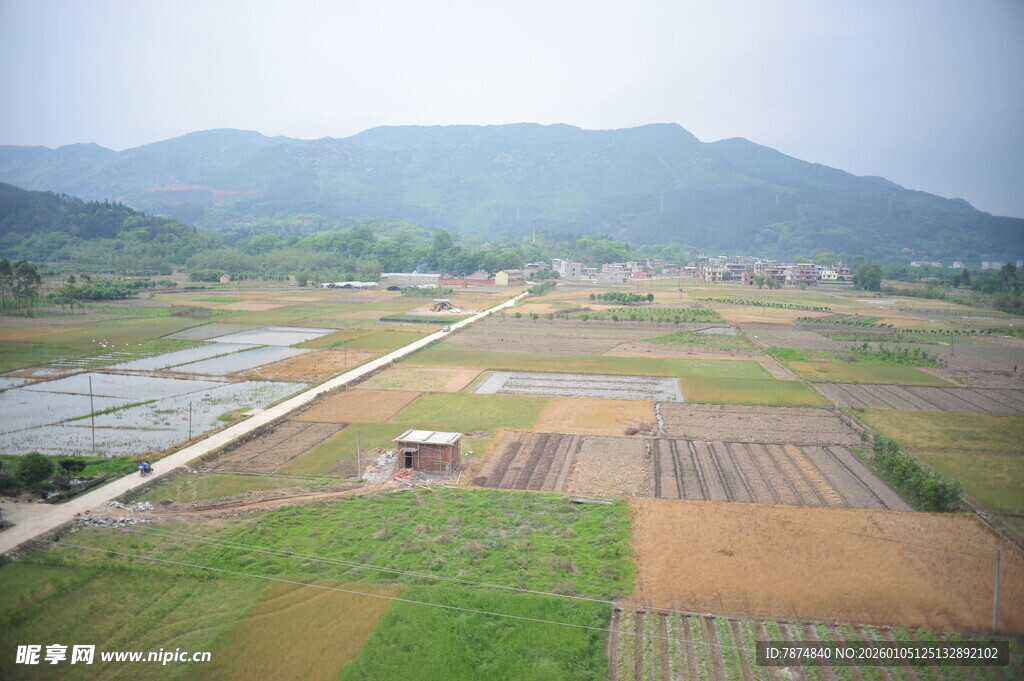 田园风光 多彩农田美景