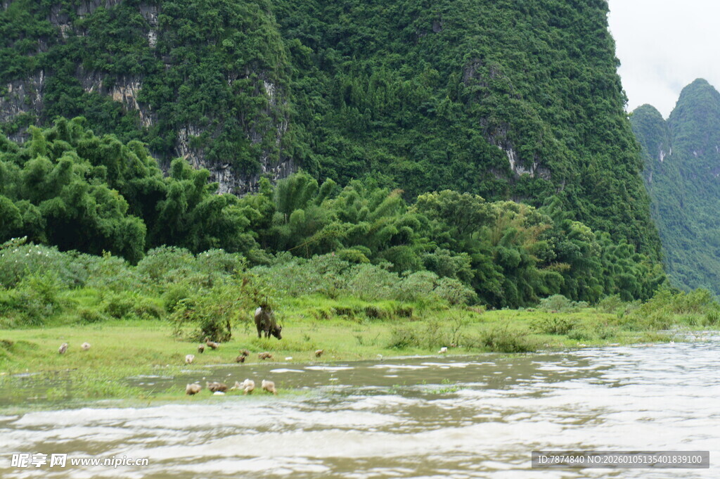 漓江山水间的自然景致