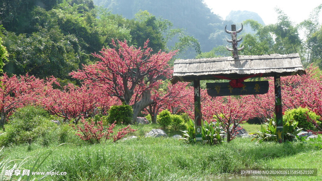 春日烂漫花园景观