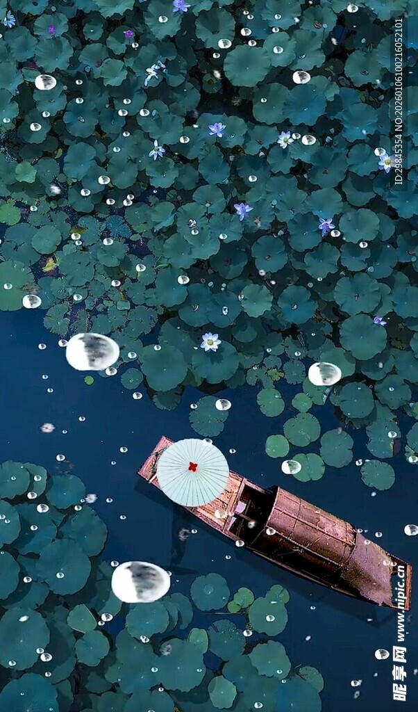 水面漂浮物与睡莲景观