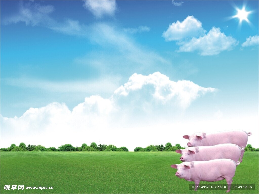 草原上的粉色小猪