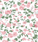 粉色玫瑰花卉图案背景