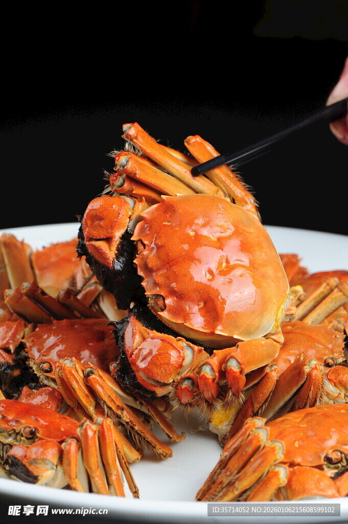 美味大闸蟹筷子夹起瞬间