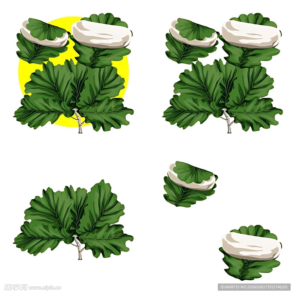 绿叶与白色物体组合图案